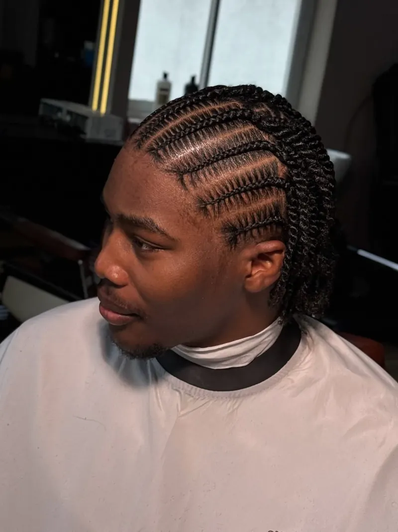 Twist Braids