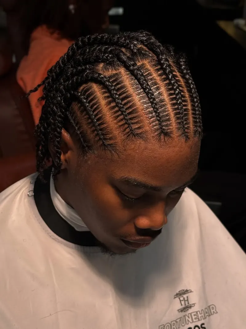 Cornrows with twists and individual braids in black hair by Ani Braids in Lanham, Maryland
